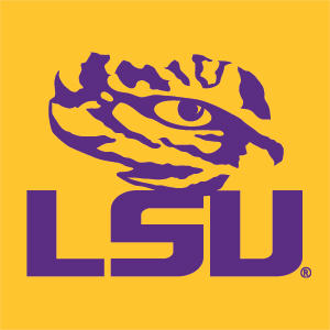 Louisiana State University - LSU Tiger Eye Logo Yellow Nintendo 2DS XL (2017) Skin